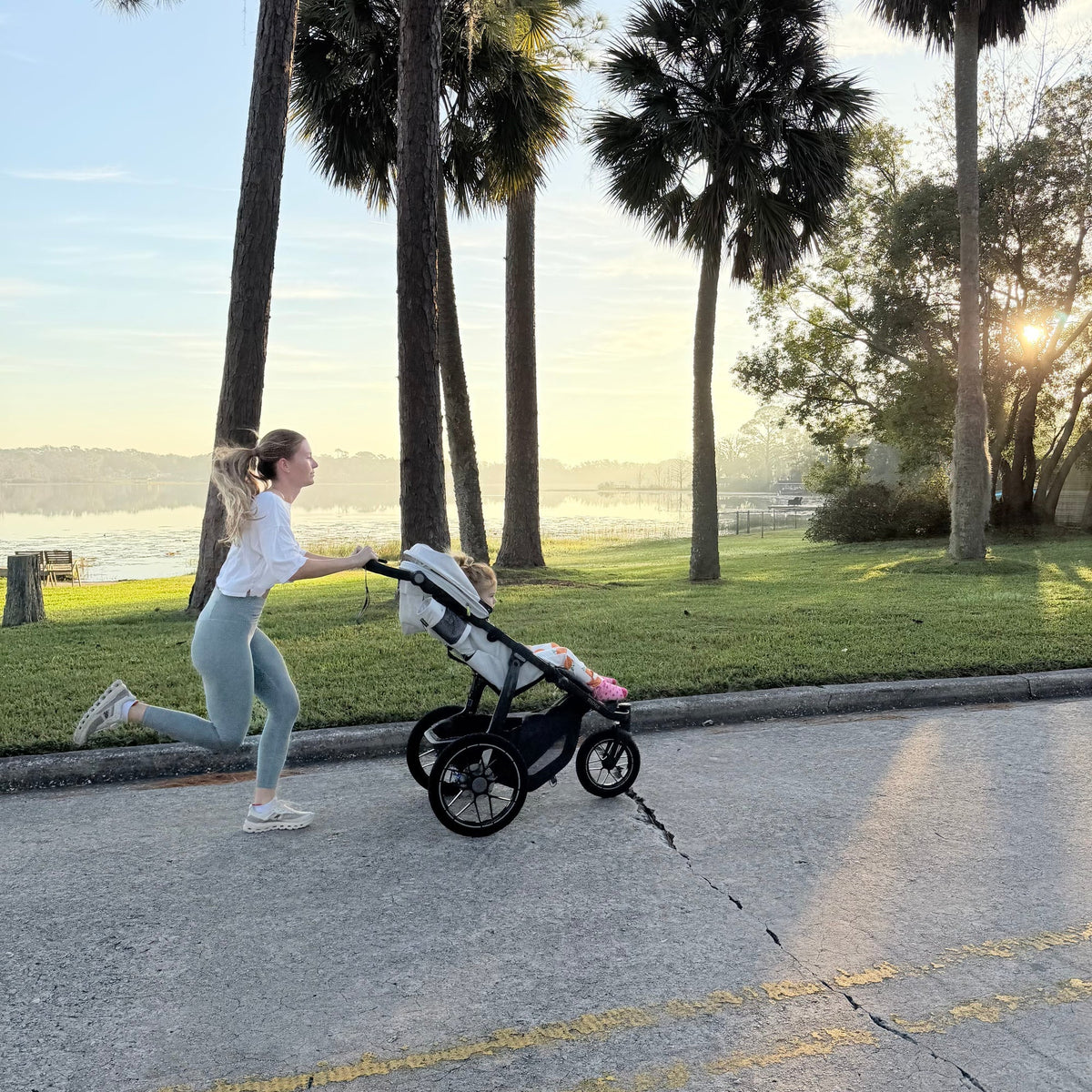 UPPAbaby Ridge V2 All-Terrain Stroller